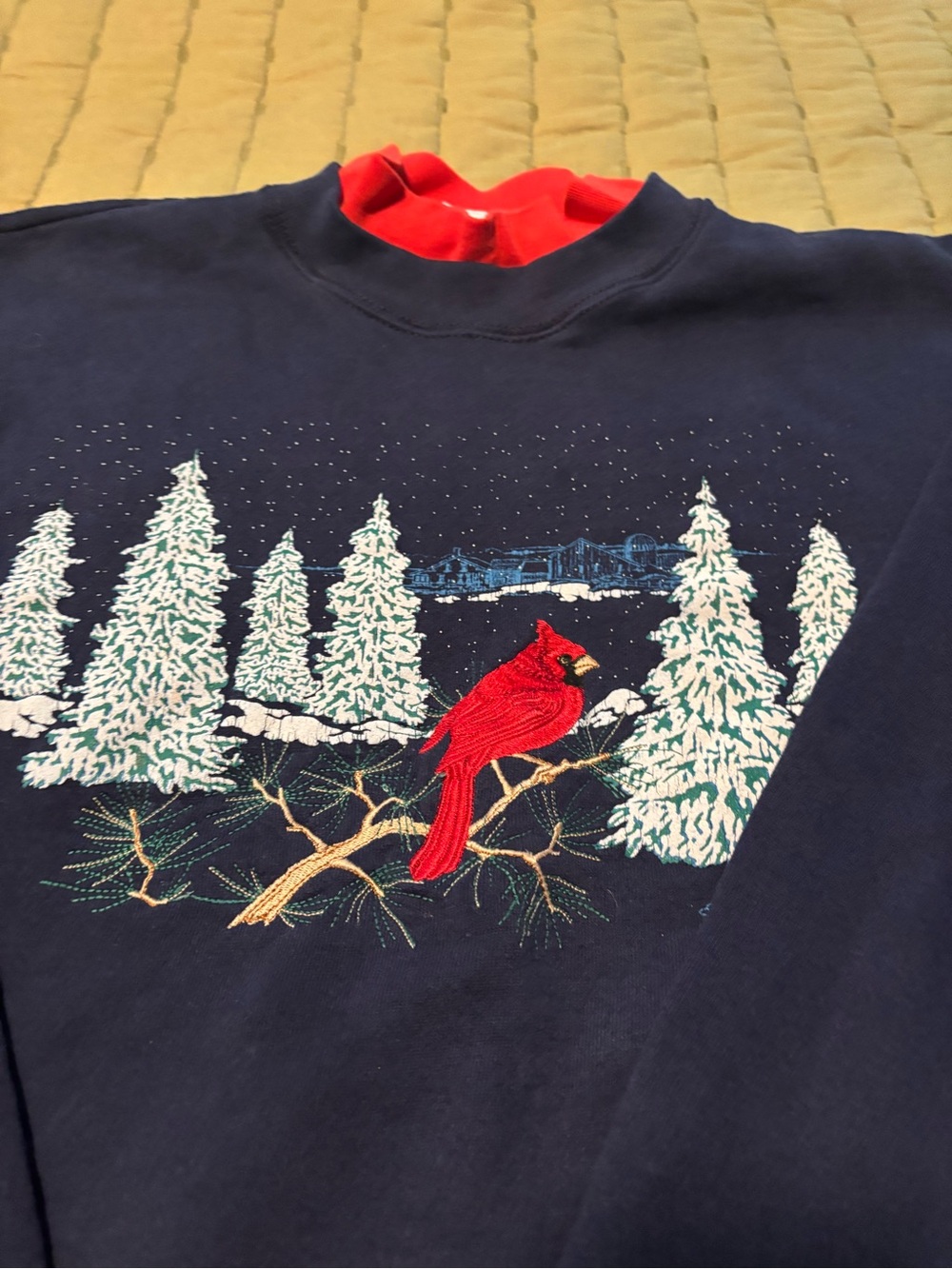 Cottage core XL navy blue sweatshirt with cardinal